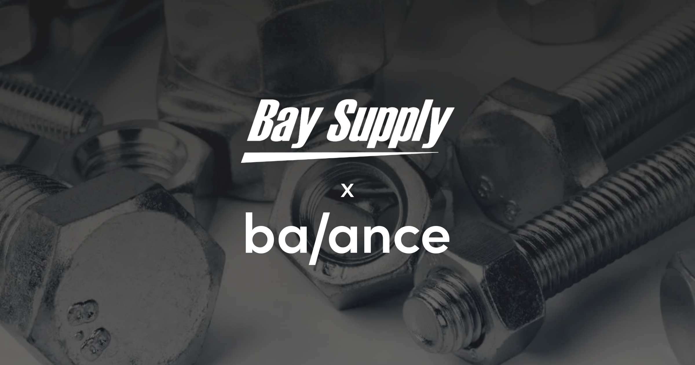 The goal was not only to manage e-commerce for B2B and provide digital solutions but also to operate within a traditional framework by establishing and managing credit terms.